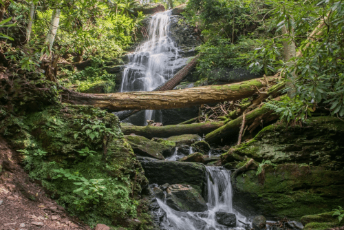 A serene waterfall cascades over moss-covered rocks, surrounded by lush green foliage in a tranquil forest setting.