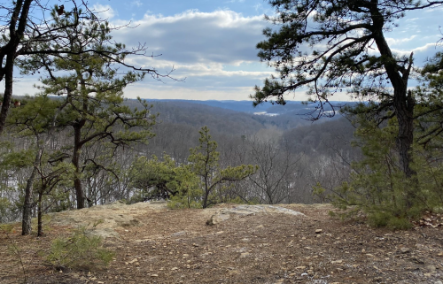 A rocky overlook surrounded by trees, with a distant view of rolling hills and a cloudy sky.