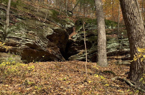 A rocky outcrop surrounded by autumn foliage and trees, with fallen leaves covering the ground.