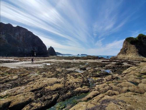 A rocky beach with tide pools, surrounded by cliffs and a clear blue sky with wispy clouds. People explore the shoreline.