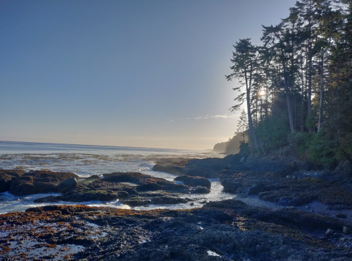 A serene coastal scene with rocky shorelines, trees, and a clear sky at sunrise.