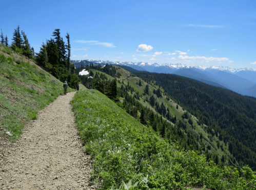 A scenic mountain trail with a hiker, surrounded by lush greenery and distant snow-capped peaks under a clear blue sky.