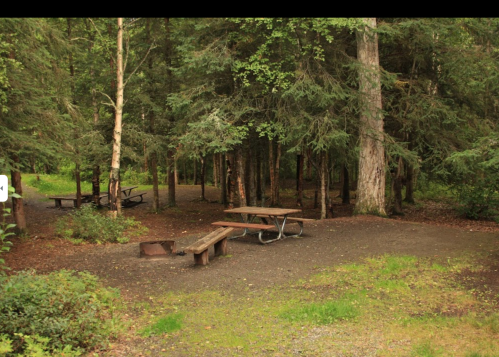 A serene forest clearing with picnic tables surrounded by tall trees and lush greenery.