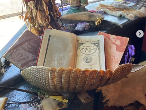 A decorative shell holds an open book of Edgar Allan Poe's works, surrounded by various colorful items and textures.