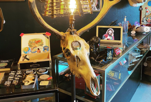 A mounted deer skull lamp on display in a shop, surrounded by various merchandise and a laptop showing an image.