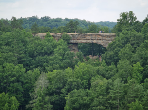 A natural stone arch rises above lush green trees, with people standing on top, surrounded by a forested landscape.