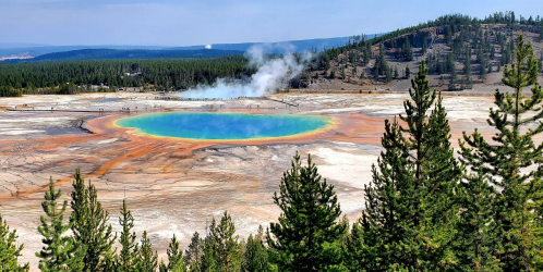 A vibrant geothermal pool surrounded by colorful mineral deposits and lush green trees in Yellowstone National Park.