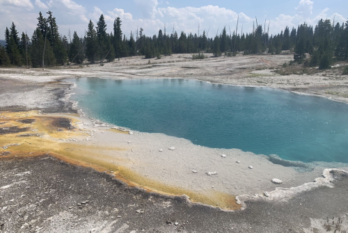 A vibrant blue hot spring surrounded by yellow and gray mineral deposits, set in a forested landscape.
