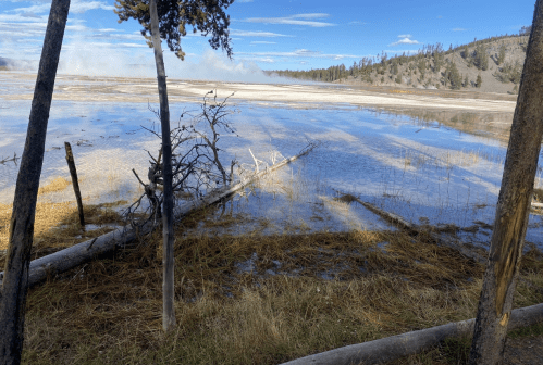 A serene landscape featuring a wetland with reflections, surrounded by trees and distant hills under a blue sky.