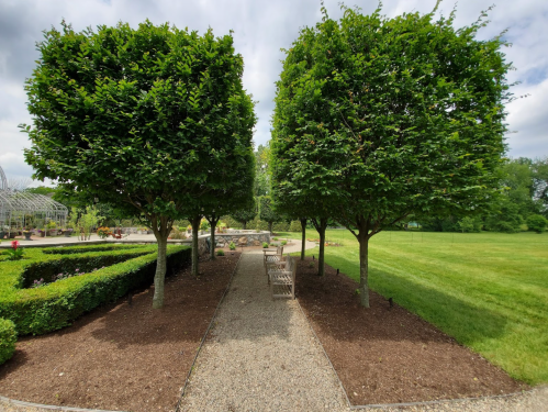 A pathway lined with neatly trimmed trees leads through a landscaped garden with green grass and shrubs.