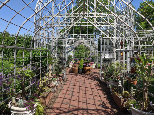 A sunny garden with a lattice structure, featuring potted plants and a pathway lined with greenery.