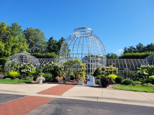 A glass dome greenhouse surrounded by lush greenery and colorful flowers under a clear blue sky.