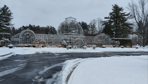 A snow-covered greenhouse with a dome structure, surrounded by trees and a clear sky.