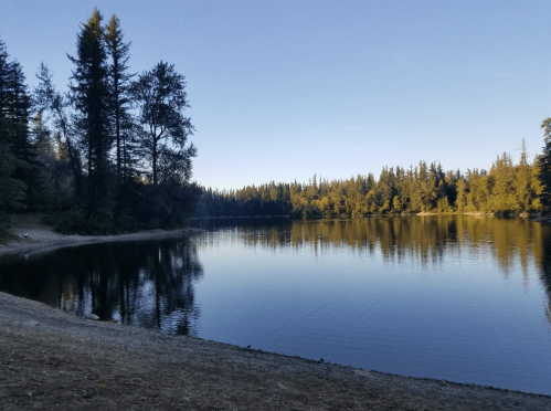 A serene lake surrounded by trees, reflecting the clear blue sky and early morning light.