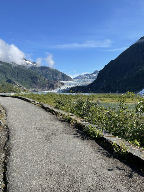 A scenic pathway leads through lush greenery, with a glacier and mountains in the background under a clear blue sky.