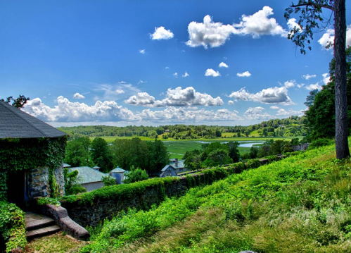 A scenic view of lush green fields and trees under a bright blue sky with fluffy clouds.