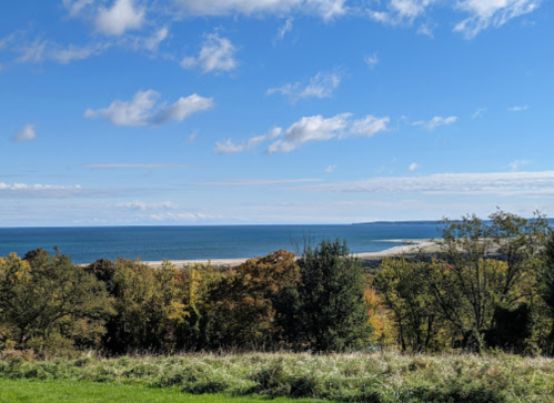 A scenic view of a calm ocean under a blue sky, framed by trees and grassy land in the foreground.