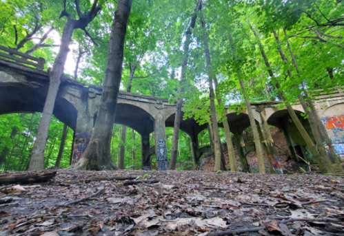 A forest scene with a dilapidated stone bridge, surrounded by trees and overgrown foliage, featuring graffiti on the walls.