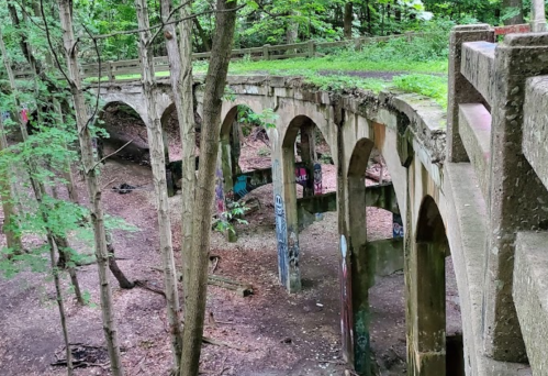 A weathered stone bridge with arches, surrounded by lush greenery and trees in a forested area.
