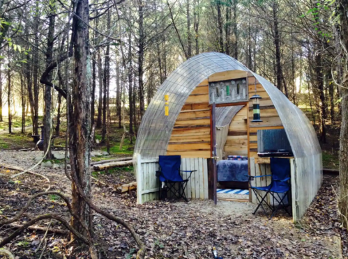 A cozy, curved wooden cabin nestled in a forest, surrounded by trees and featuring outdoor seating.