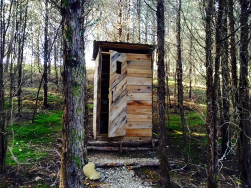 A rustic wooden outhouse surrounded by tall trees in a forested area.