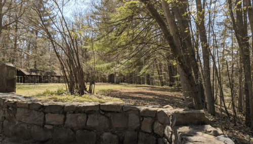 A serene forest scene with a stone wall, trees, and a clear sky, showcasing a peaceful natural landscape.