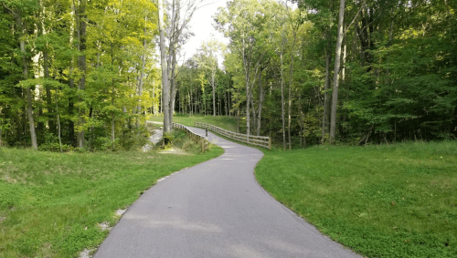 A winding path through a lush green forest, with trees lining both sides and a wooden bridge in the distance.