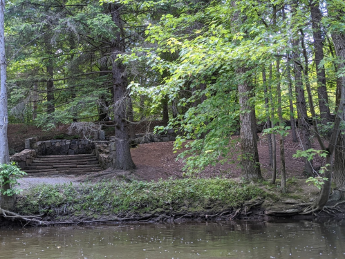 A serene forest scene with stone steps leading up a wooded area beside a calm river. Lush green trees surround the area.