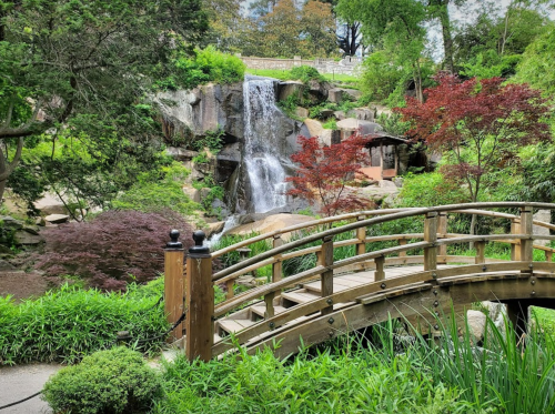 A serene garden scene featuring a wooden bridge over lush greenery and a cascading waterfall in the background.