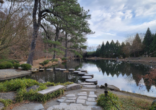 A serene landscape featuring a pond with stepping stones, surrounded by trees and a cloudy sky.