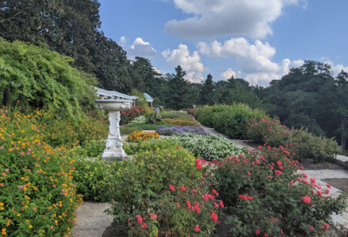A vibrant garden filled with colorful flowers and greenery under a blue sky with fluffy clouds.