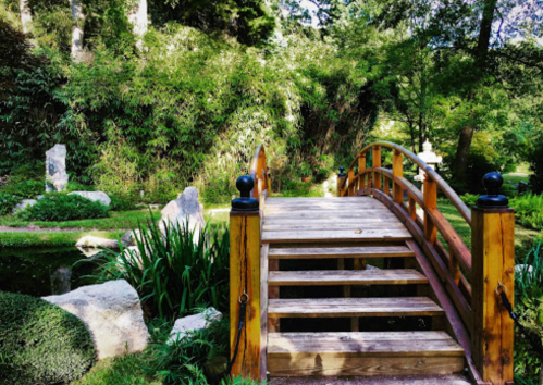 A wooden bridge arches over a serene pond, surrounded by lush greenery and rocks in a tranquil garden setting.
