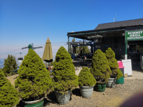 A restaurant with green shrubs in pots, surrounded by a scenic view and a ski lift in the background.