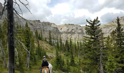 A person on horseback in a forested area with rocky cliffs and cloudy skies in the background.
