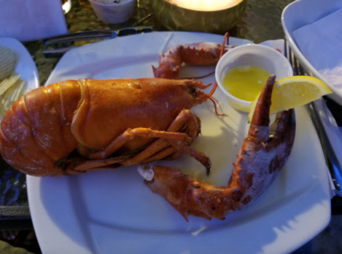 A cooked lobster on a plate with a lemon wedge and a small cup of melted butter.