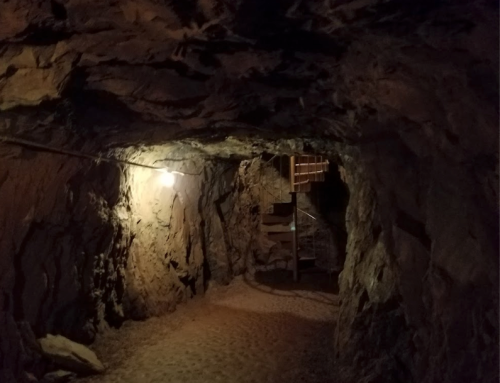 Dimly lit underground tunnel with rocky walls and a wooden staircase in the background.