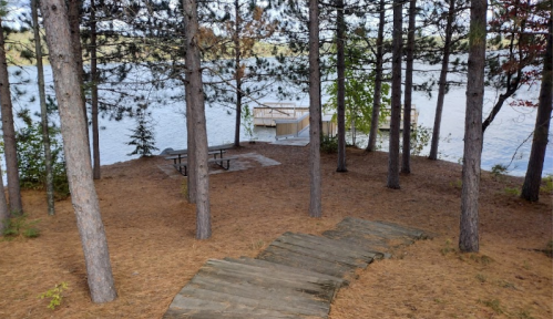 A serene lakeside scene with a wooden path leading to a dock, surrounded by tall trees and a picnic area.