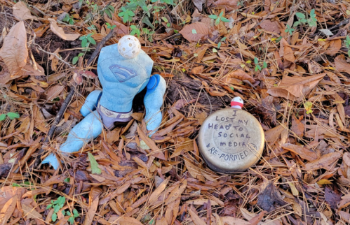 A blue stuffed toy lies on the ground next to a rock with a humorous message about social media. Surrounded by leaves.