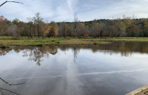 A serene landscape featuring a calm river reflecting trees and a cloudy sky, surrounded by autumn foliage.