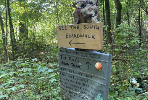 A wooden sign points left to "The South Boardwalk," with a doll's head and trail information in a wooded area.