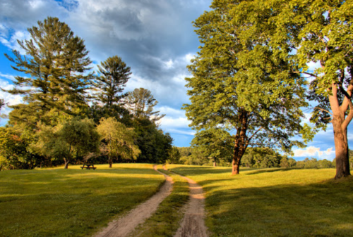 A winding dirt path through a lush green park with trees and a blue sky dotted with clouds.