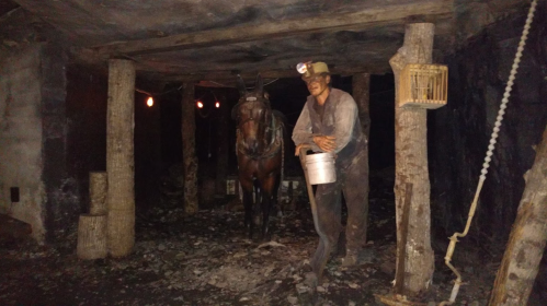 A miner with a bucket stands beside a horse in a dimly lit underground mine, surrounded by wooden supports and debris.