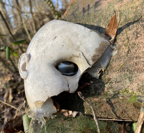 A cracked, weathered doll head rests on a rock, surrounded by leaves and natural debris.