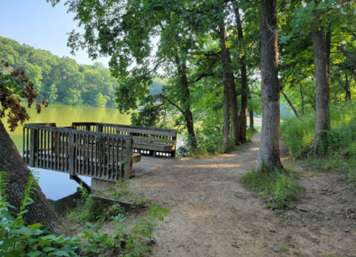A serene lakeside scene with a wooden dock and a sandy path surrounded by lush green trees.