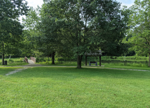 A grassy park area with trees, a small bridge, and a pond in the background under a clear blue sky.