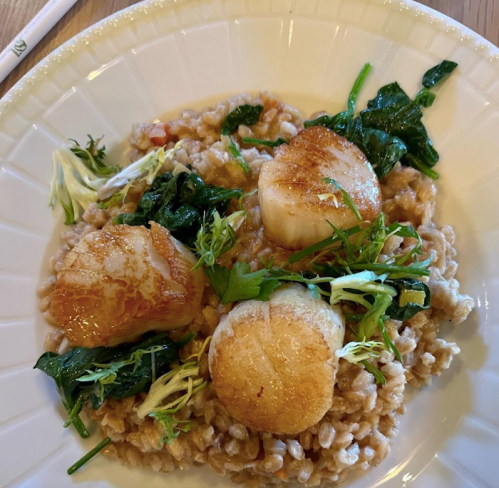 A plate of creamy risotto topped with three seared scallops and fresh greens.