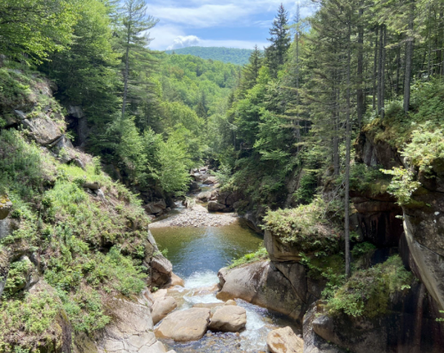 A serene forested canyon with a winding river and rocky banks under a blue sky with scattered clouds.