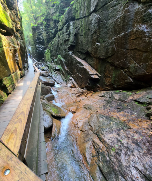 A narrow path alongside a rocky stream, surrounded by tall, lush green cliffs in a forested area.