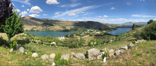 A panoramic view of a serene landscape featuring a lake, rolling hills, and lush greenery under a blue sky.