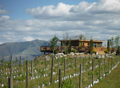 A wooden house on a hill surrounded by vineyards, with mountains and cloudy skies in the background.